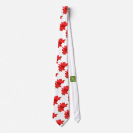Kaffir Lily / River Lily / Hesperantha Coccinea Krawatte