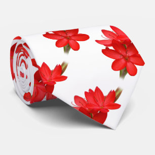 Kaffir Lily / River Lily / Hesperantha Coccinea Krawatte