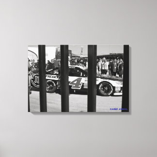 Käfigtier Leinwanddruck