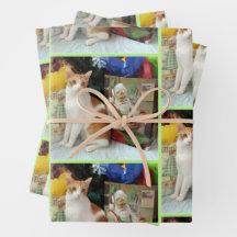 Kagans Weihnachtsgeschenke - Katze / Kitten