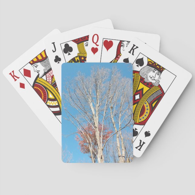 Kahl Bäume Spielkarten (Rückseite)