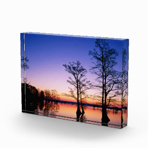 Kahle Zypressen National Wildlife Refuge, TN Fotoblock