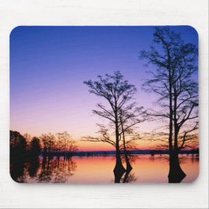 Kahle Zypressen National Wildlife Refuge, TN Mousepad