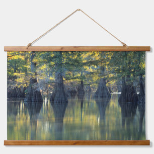 Kahlen Zypressenbäume Horseshoe Lake Illinois Wandteppich Mit Holzrahmen
