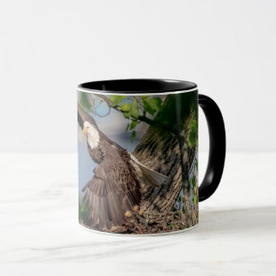 Kahler Adler, der das Nest verlässt Tasse