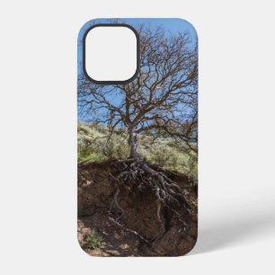Kahler Baum auf einem Berg bei Tag iPhone 12 Hülle