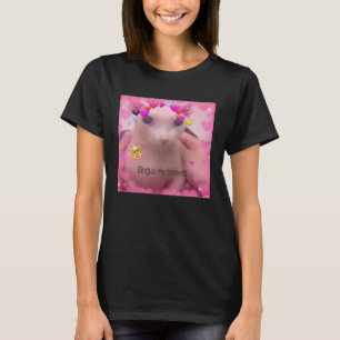Kahler Bingus mein geliebter haarloser Sphinx-Kate T-Shirt