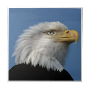 KAHLES EAGLE-TILE FLIESE