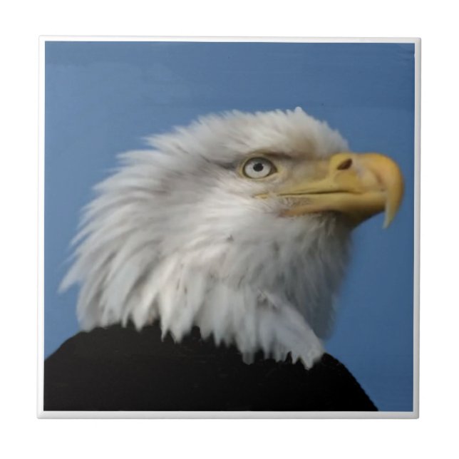 KAHLES EAGLE-TILE FLIESE (Vorderseite)
