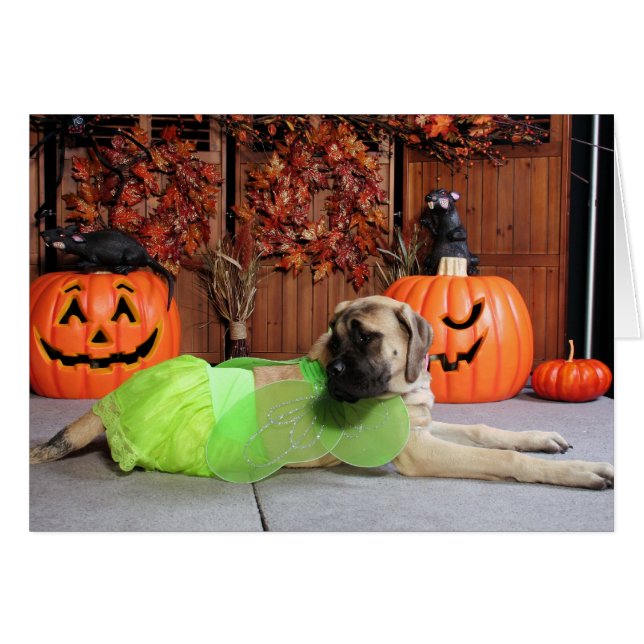 Kahlua - englischer Mastiff - Phiathep (Vorderseite (Horizontal))