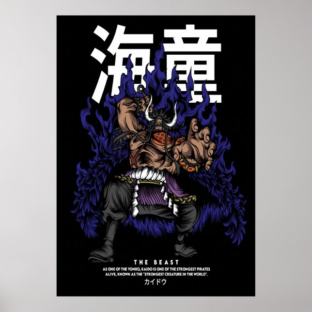 Kaido Poster (Vorne)