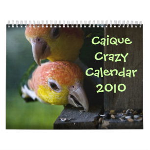Kaiken Kalender 2010