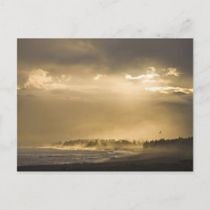 Kaikoura, Neuseeland. Kaikoura ist bekannt für Postkarte