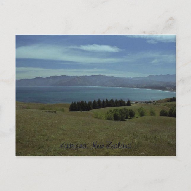 Kaikoura, Neuseeland Postkarte (Vorderseite)