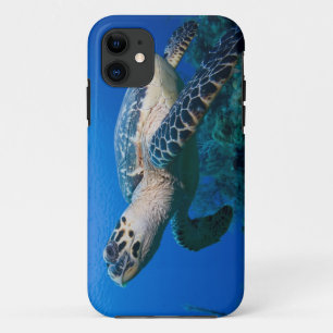 Kaimaninseln, Little Cayman Island, Unterwasser 2 Case-Mate iPhone Hülle