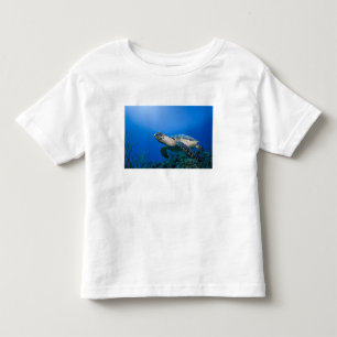 Kaimaninseln, Little Cayman Island, Unterwasser 2 Kleinkind T-shirt