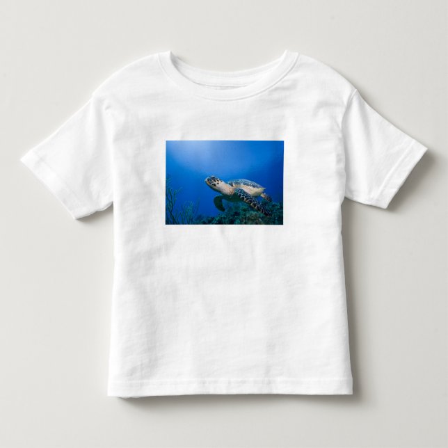 Kaimaninseln, Little Cayman Island, Unterwasser 2 Kleinkind T-shirt (Vorderseite)