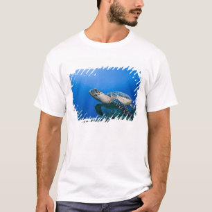 Kaimaninseln, Little Cayman Island, Unterwasser 2 T-Shirt