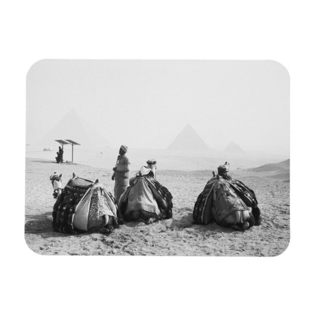 Kairo Ägypten, Camel Jockeys Giza Pyramids (NR) Magnet (Horizontal)