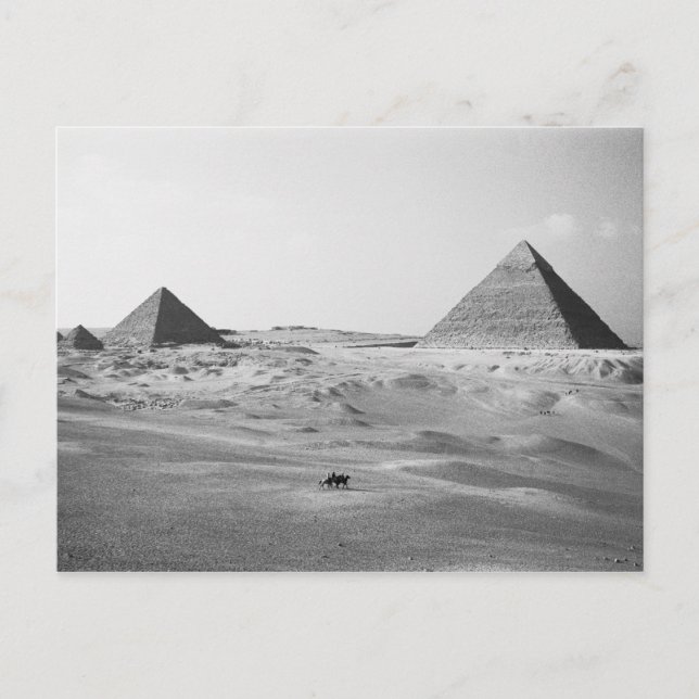 Kairo Ägypten, Gizeh Pyramiden Postkarte (Vorderseite)