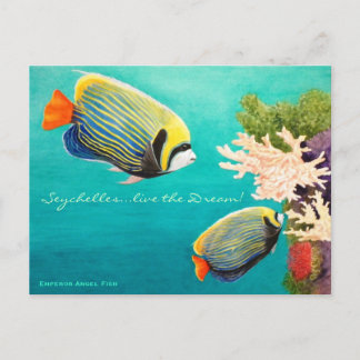 Kaiser Angel Postkarte