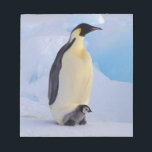 Kaiser Penguin | Aptenodytes Notizblock<br><div class="desc">COPYRIGHT Art Wolfe / DanitaDelimont.com | AN02 AWO0004.jpg | Antarktis,  Kaiserpinguin (Aptenodytes forsteri),  Erwachsene und Küken</div>