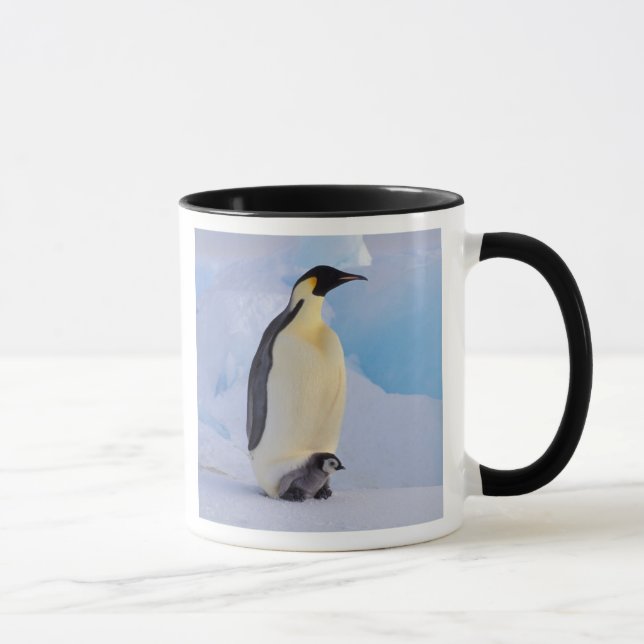 Kaiser Penguin | Aptenodytes Tasse (Rechts)