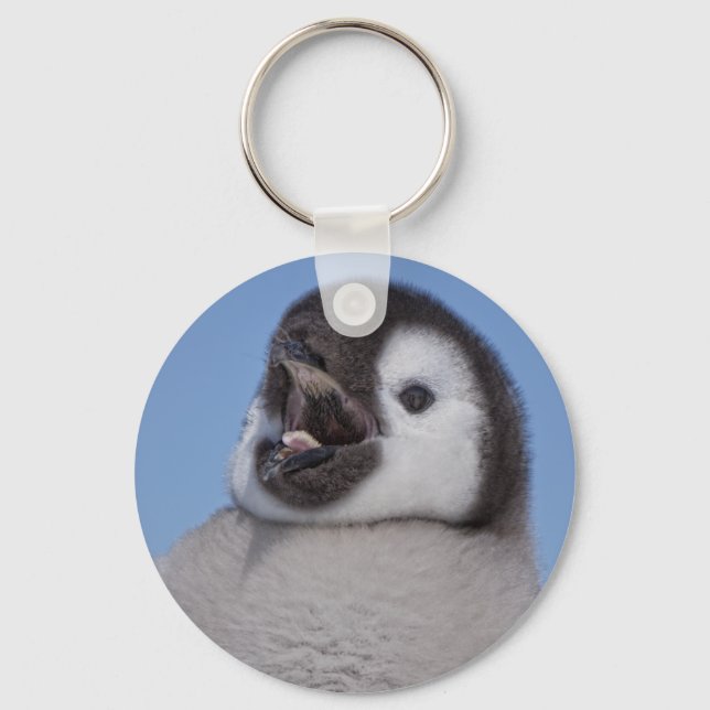 Kaiser Penguin Chick Schlüsselanhänger (Vorderseite)