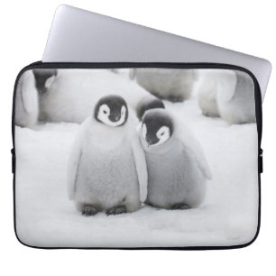Kaiser Penguin Hühner auf Eis in der Antarktis Laptopschutzhülle