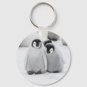Kaiser Penguin Hühner auf Eis in der Antarktis Schlüsselanhänger
