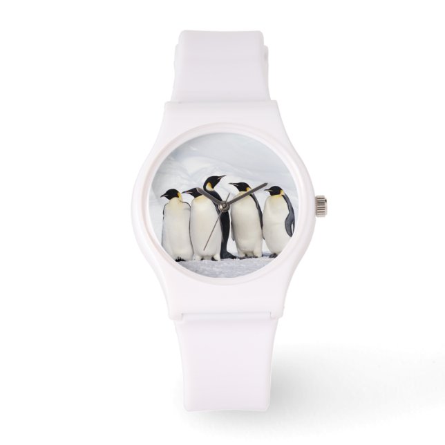 Kaiser Penguins Armbanduhr (Vorderseite)
