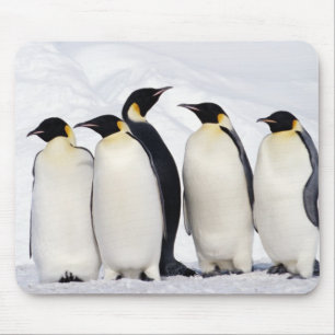 Kaiser Penguins Mousepad