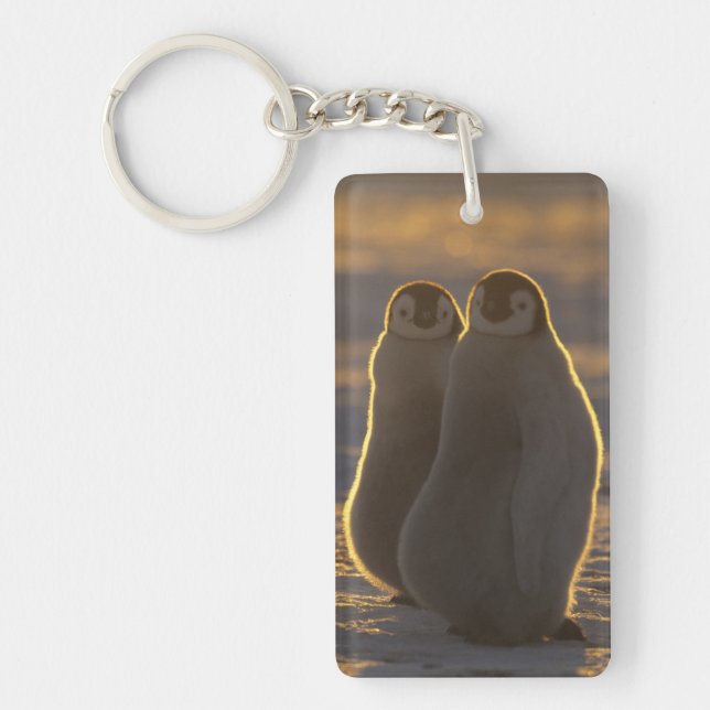 Kaiser Penguins Schlüsselanhänger (Vorderseite)