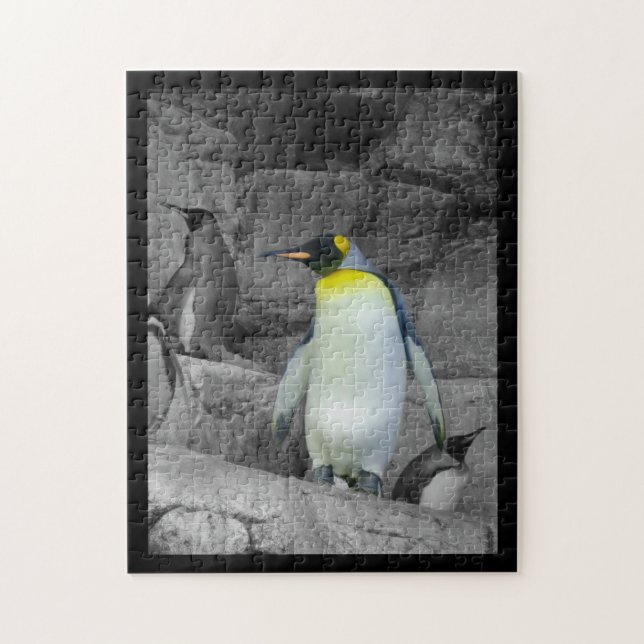 Kaiser-Pinguin (Vertikal)