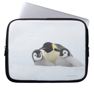 Kaiser-Pinguin (Aptenodytes forsteri) 2 Laptopschutzhülle