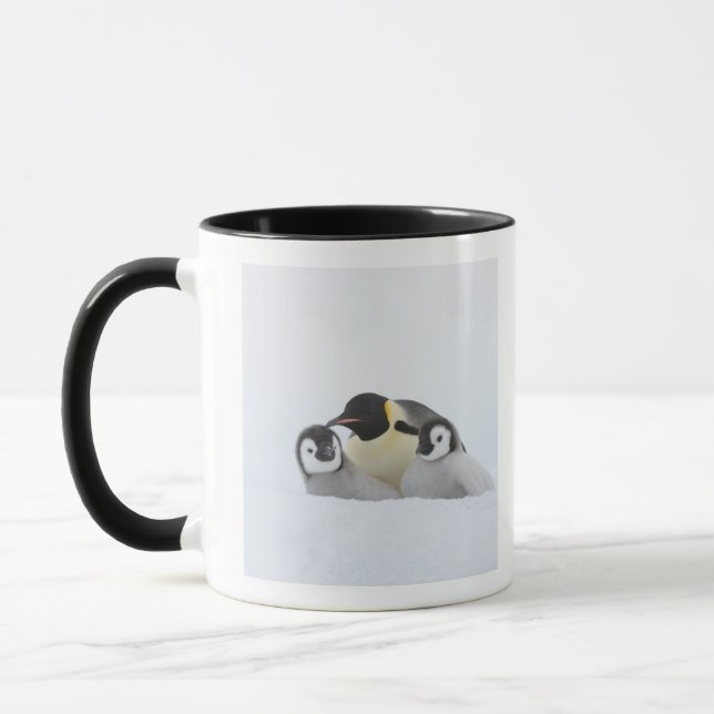 Kaiser-Pinguin (Aptenodytes forsteri) 2 Tasse (Links)