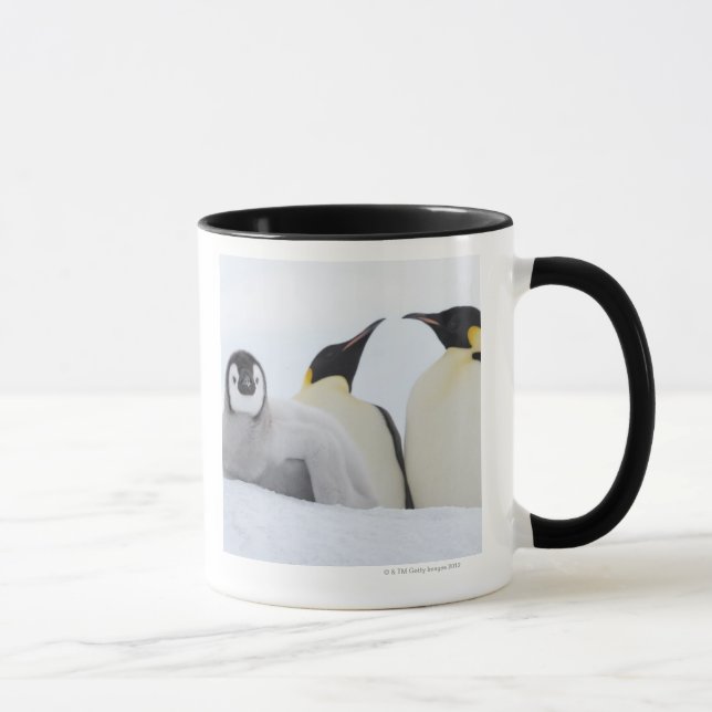 Kaiser-Pinguin (Aptenodytes forsteri) Tasse (Rechts)
