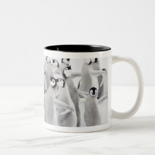 Kaiser-Pinguin (Aptenodytes forsteri) Zweifarbige Tasse