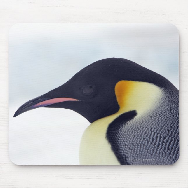 Kaiser Pinguin, Insel Snow Hill Mousepad (Vorne)