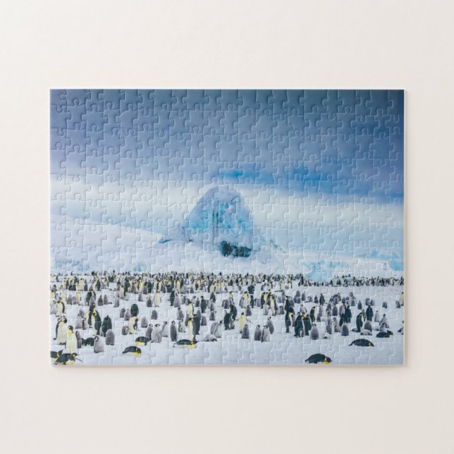 Kaiser-Pinguin-Kolonie (Horizontal)