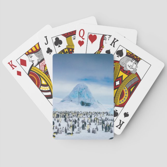 Kaiser-Pinguin-Kolonie Spielkarten (Rückseite)