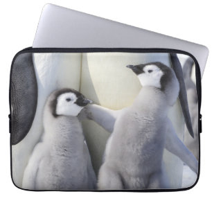 Kaiser-Pinguin-Küken Laptopschutzhülle