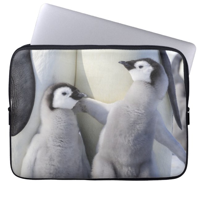 Kaiser-Pinguin-Küken Laptopschutzhülle (Vorderseite)