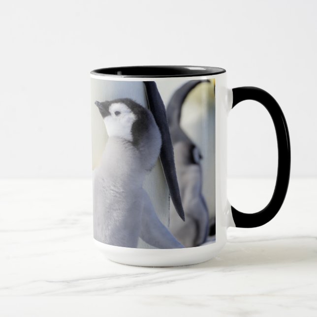 Kaiser-Pinguin-Küken Tasse (Rechts)