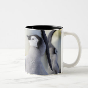 Kaiser-Pinguin-Küken Zweifarbige Tasse