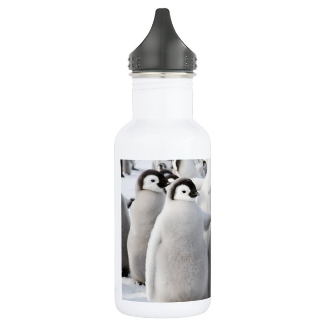 Kaiser-Pinguin-Kükenwasserflasche Trinkflasche (Links)