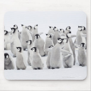 Kaiser-Pinguin Mousepad