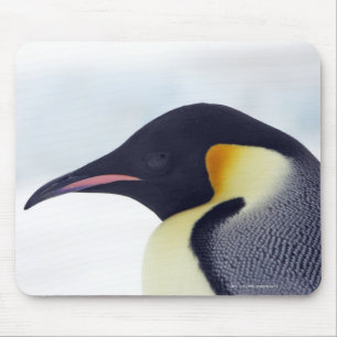 Kaiser-Pinguin, Schnee-Hügel-Insel Mousepad