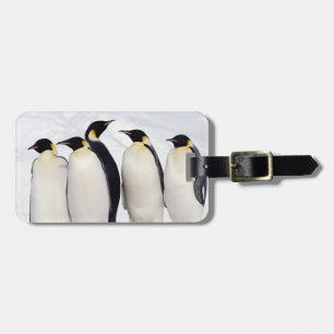 Kaiser-Pinguine Gepäckanhänger