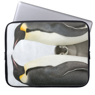 Kaiser-Pinguine mit Küken - Laptopkasten Laptopschutzhülle